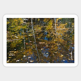 Autumn Reflection Sticker